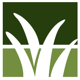 Leaf And Fall Cleanup