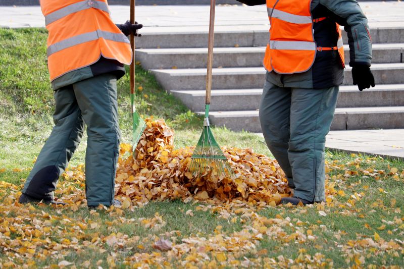 leaf removal and fall cleanup