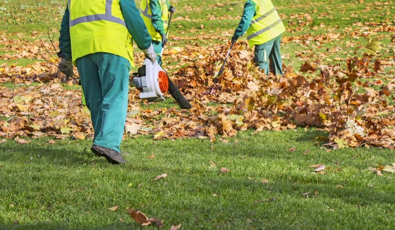 leaf removal and fall cleanup