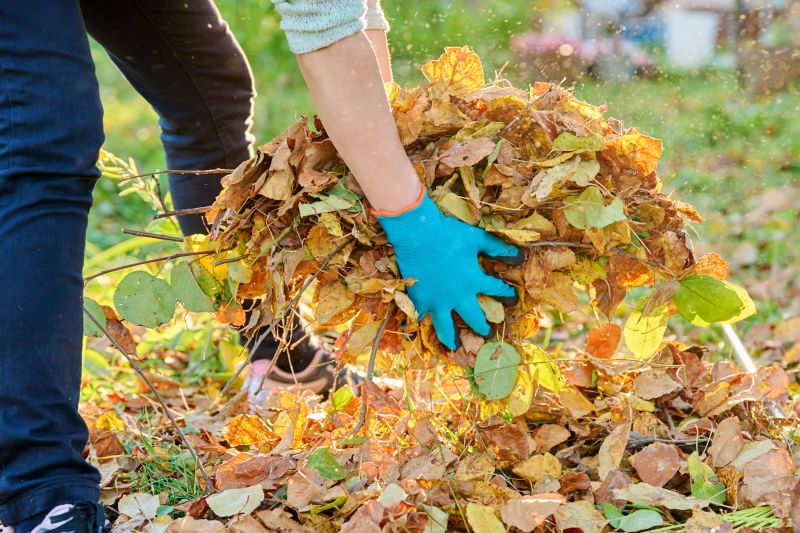 leaf removal and fall cleanup