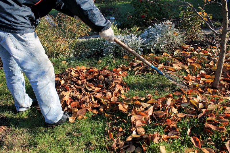 Leaf Removal And Fall Cleanup