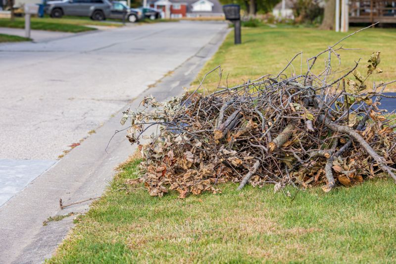 Leaf Removal And Fall Cleanup