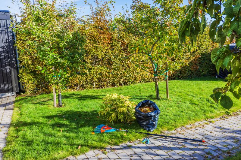 Leaf Removal And Fall Cleanup