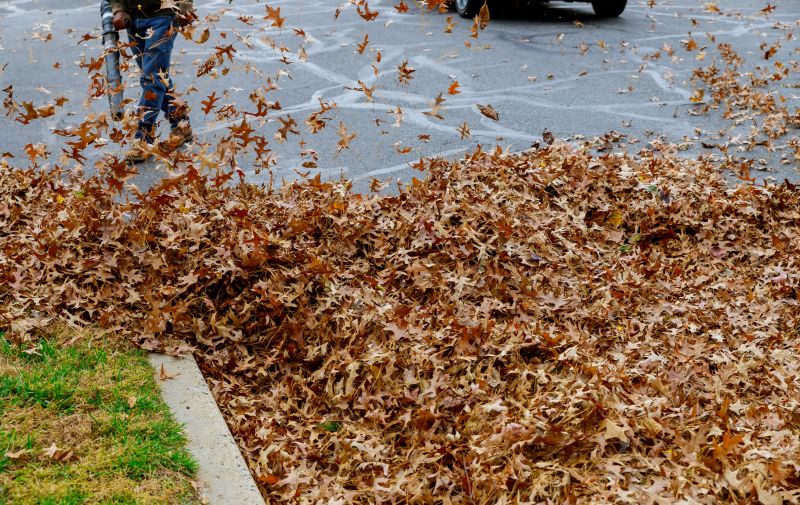 Leaf Removal And Fall Cleanup