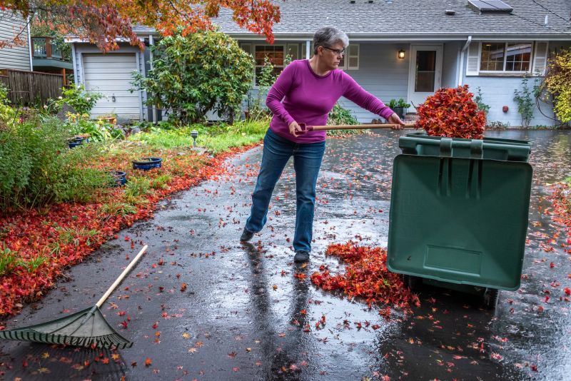 Leaf Removal And Fall Cleanup