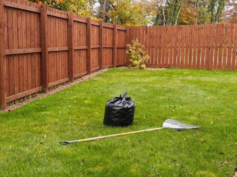 Post-Cleanup Landscape