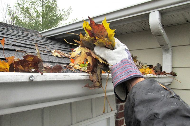 Gutter and Roof Clearing