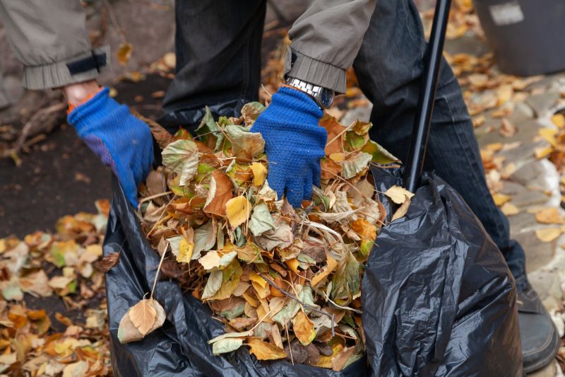 leaf removal and fall cleanup