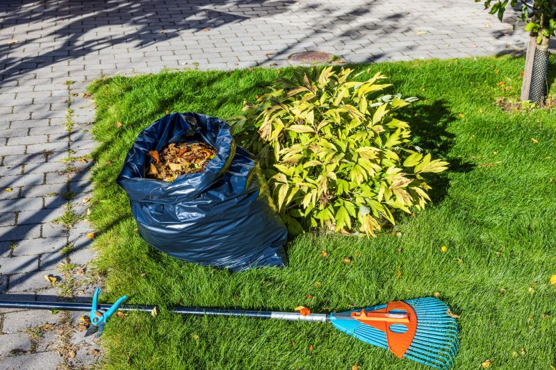leaf removal and fall cleanup